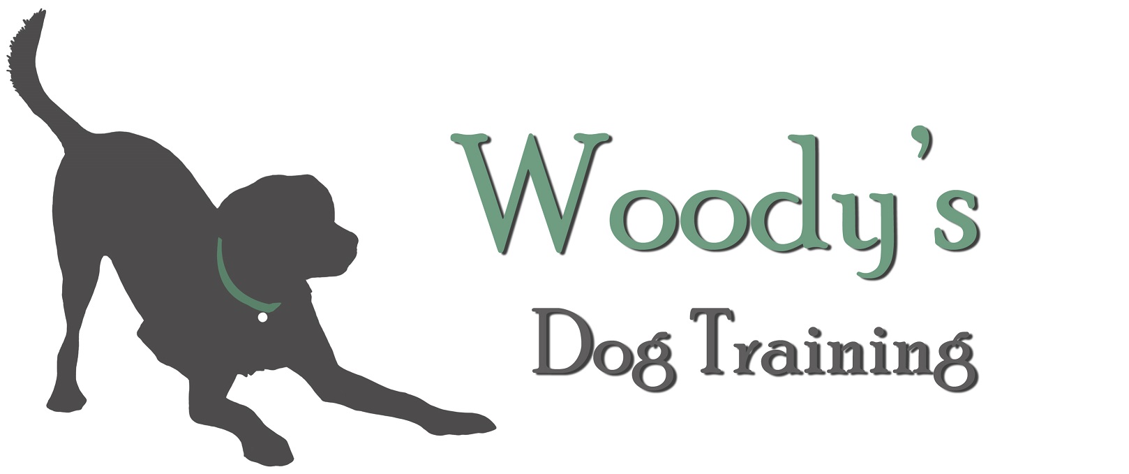 Woodys Dog Training
